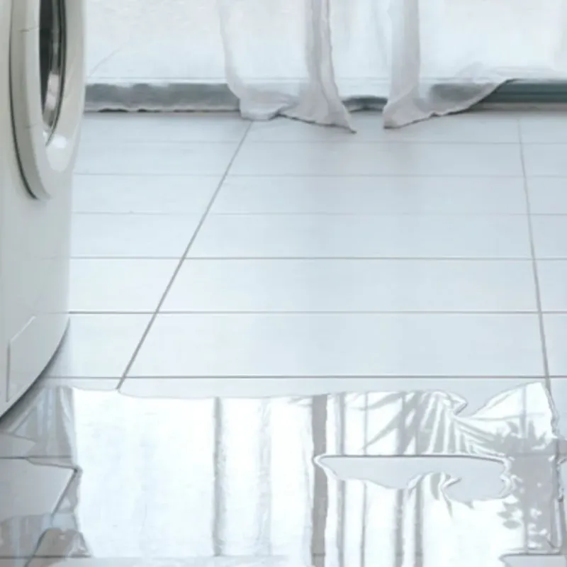 Appliance Leak Cleanup in Waitsburg, WA