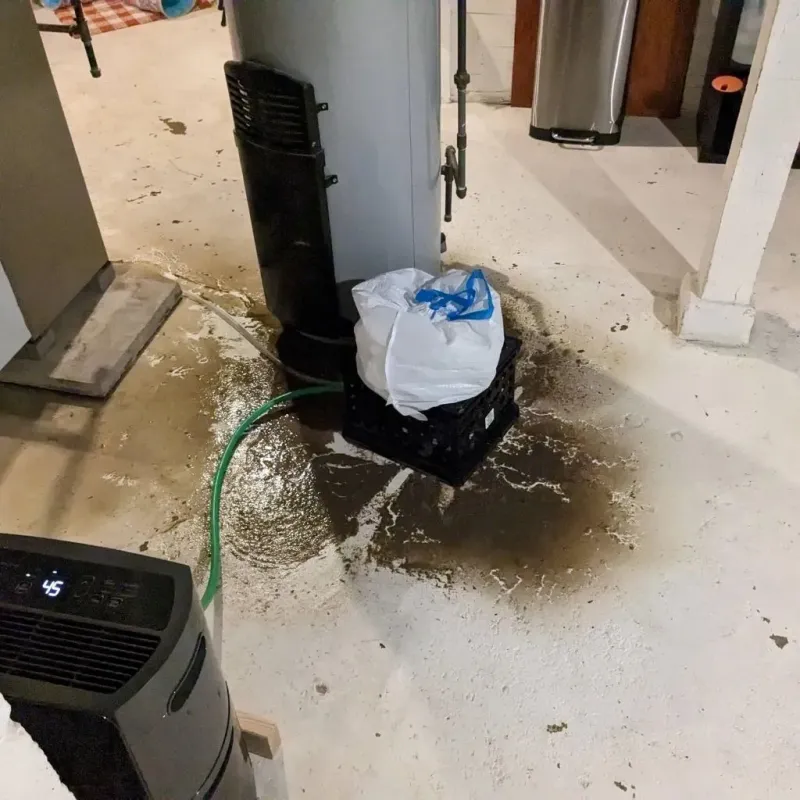 Sewage Backup Cleanup Service in Waitsburg, WA